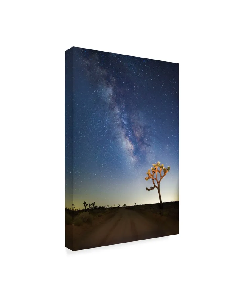 American School Joshua Tree Milkyway Canvas Art - 37" x 49"