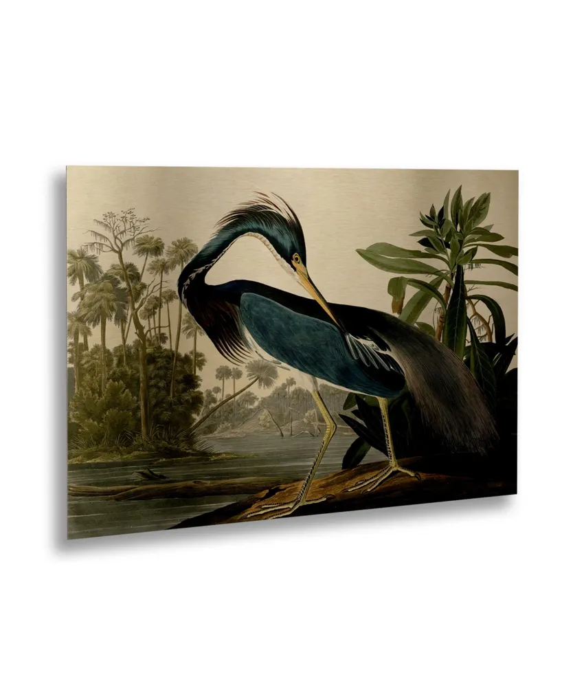 John James Audubon Louisiana Heron Floating Brushed Aluminum Art - 22" x 25"