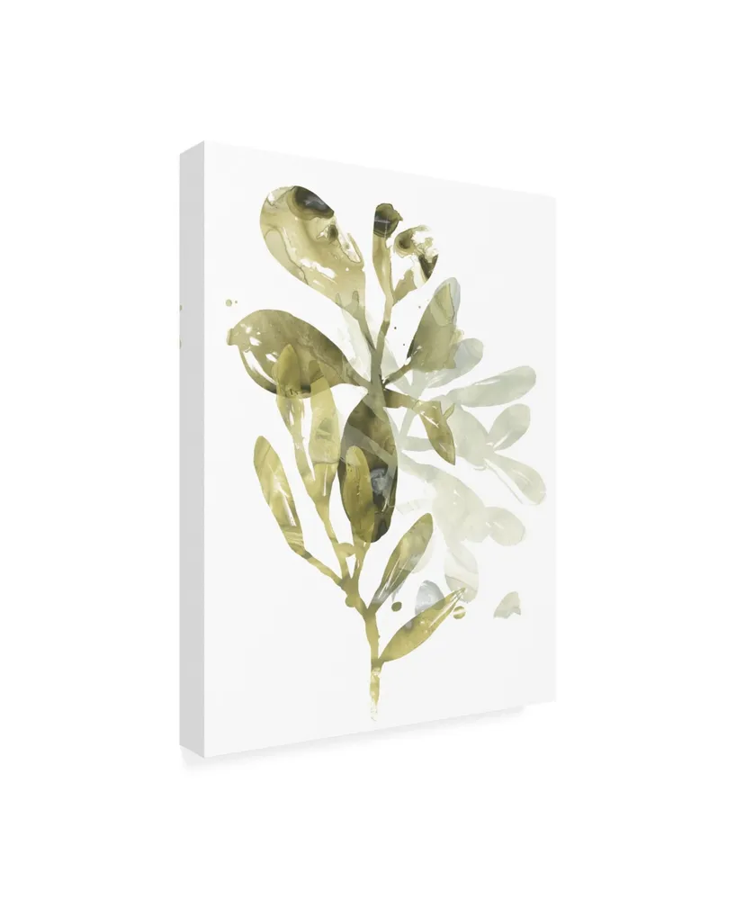 June Erica Vess Lichen and Leaves I Canvas Art