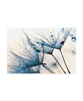 PhotoINC Studio Mystic Blue Canvas Art