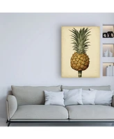 George Brookshaw Brookshaw Antique Pineapple Ii Canvas Art - 36.5" x 48"