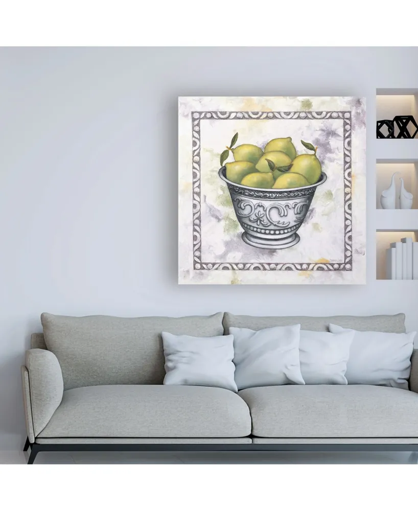 Debra Lake Limes in a Silver Bowl Canvas Art