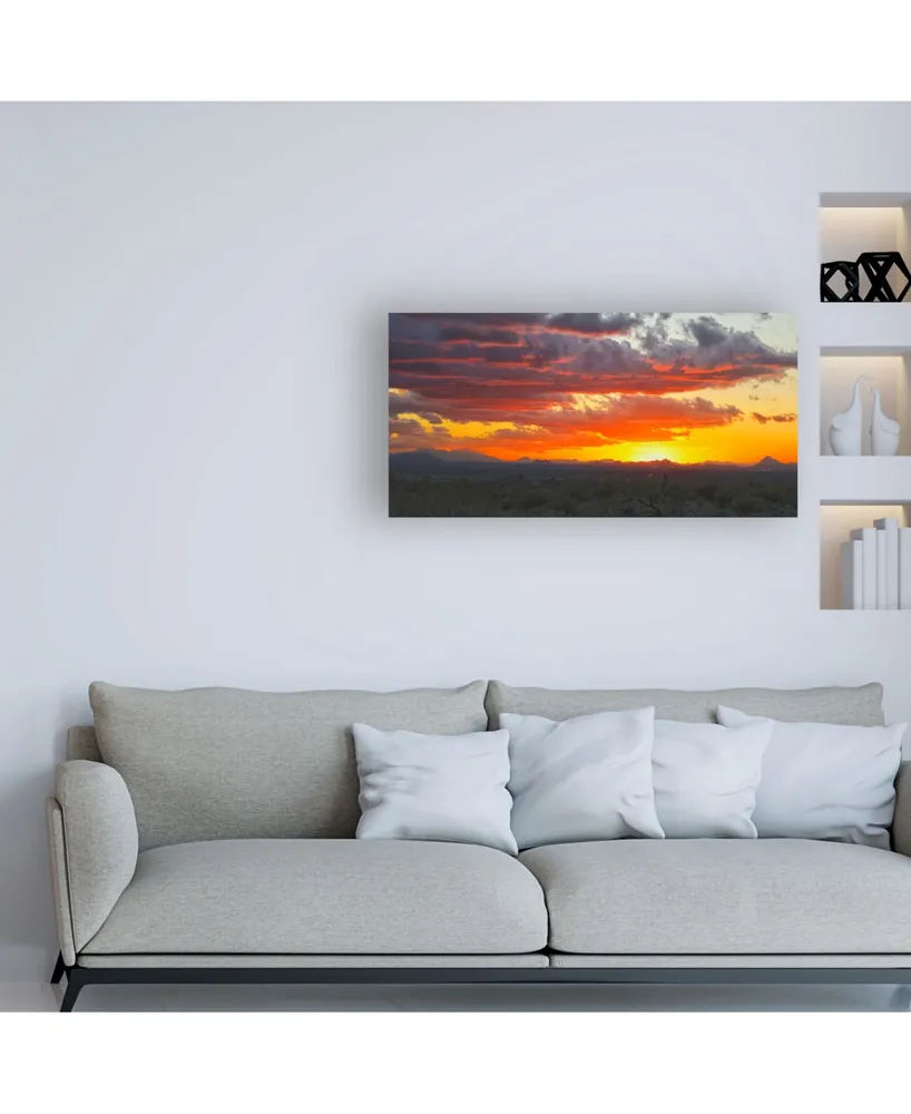 Mitch Catanzaro Sonoran Desert Sunset Canvas Art