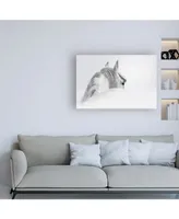 PhotoINC Studio White Horse on White Canvas Art - 27" x 33.5"