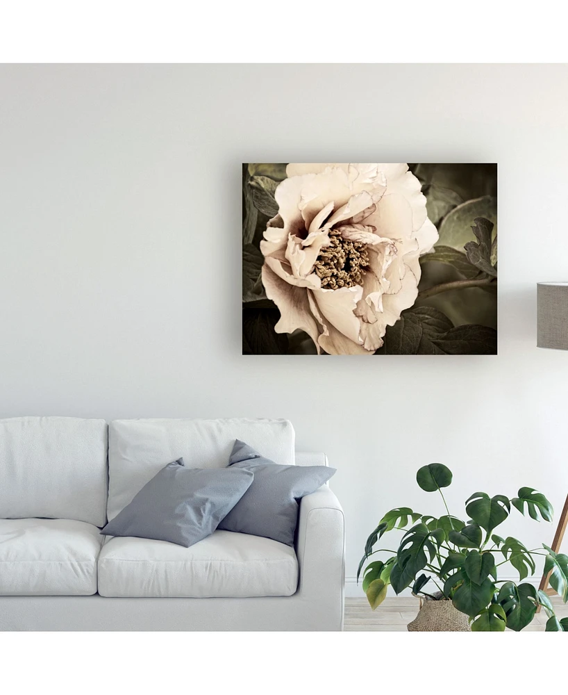 Rachel Perry Golden Era Peony I Canvas Art - 20" x 25"