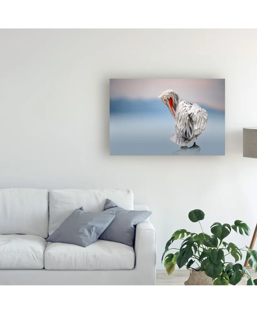 Xavier Ortega Dalmatian Pelican at Dawn Canvas Art