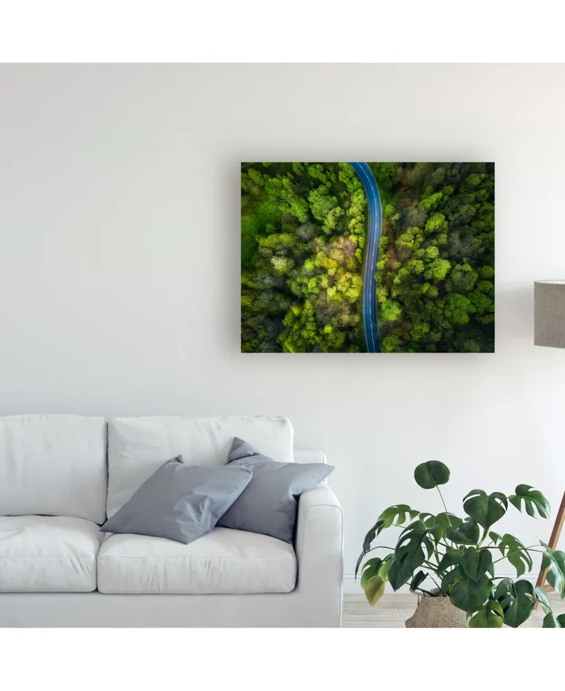 Alfonso Maseda Varela Road in the Forest Canvas Art