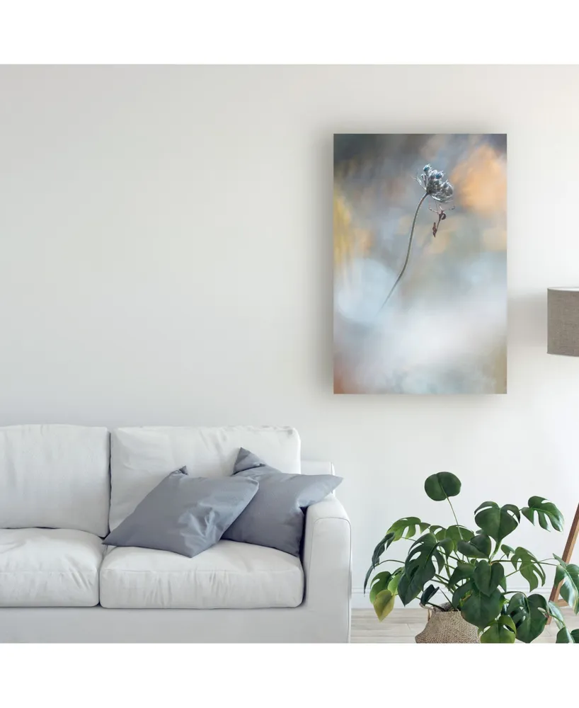 Fabien Bravin All the Small Things Canvas Art