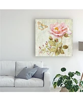 Danhui Nai Natural Flora Ii Canvas Art - 15.5" x 21"