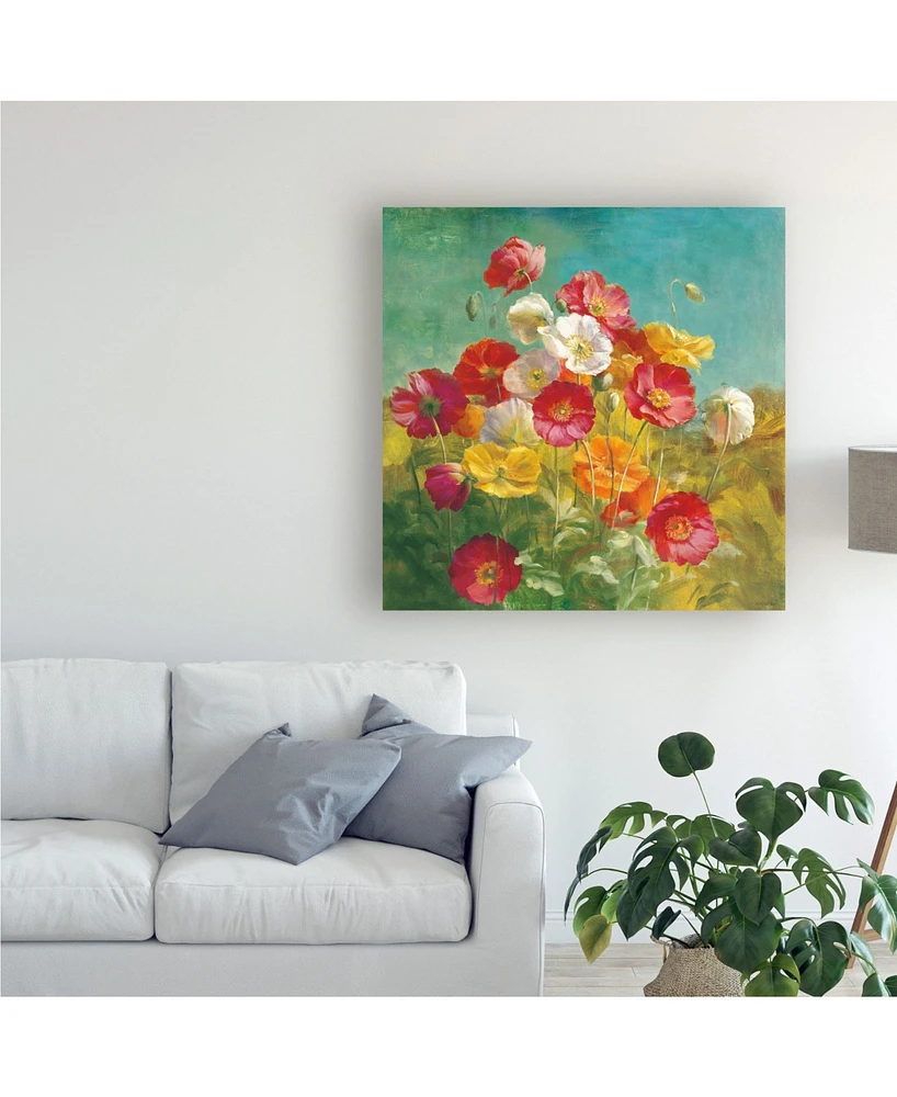 Danhui Nai Poppies in the Field Canvas Art - 36.5" x 48"