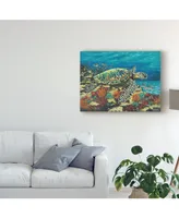 Carolee Vitaletti Deep Sea Swimming Ii Canvas Art