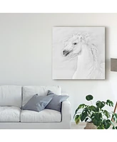 Ph Burchett Black and White Horses Iii Canvas Art - 20" x 25"