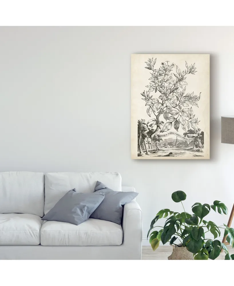 Abraham Munting Scenic Botanical Ii Canvas Art