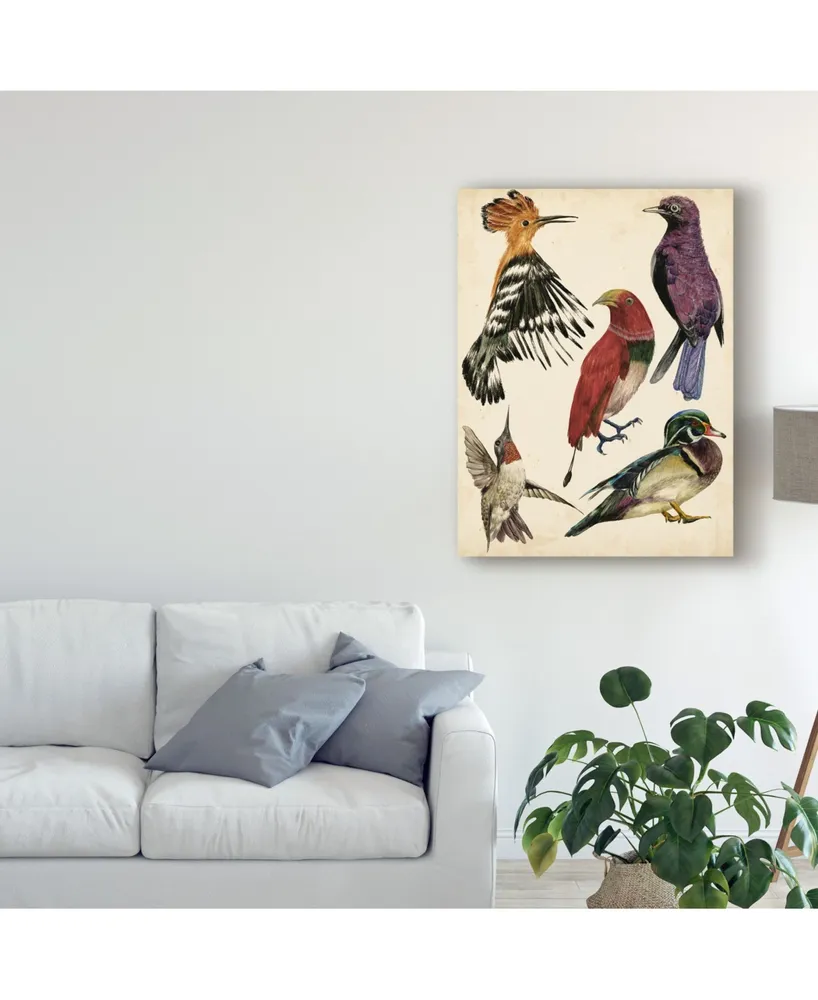 Melissa Wang Bird Collection Ii Canvas Art - 15" x 20"