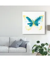 June Erica Vess Butterfly Traces Iii Canvas Art - 20" x 25"