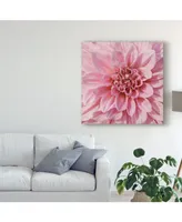 Alonzo Saunders Wall Flower Vii Canvas Art