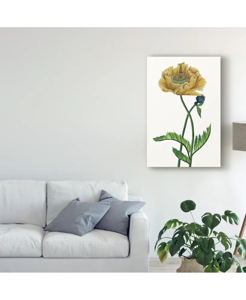 Melissa Wang Poppy Flower I Canvas Art
