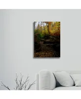 Kurt Shaffer Autumn Stream Floating Brushed Aluminum Art - 22" x 25"