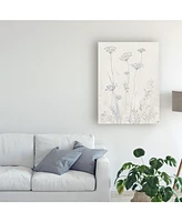 Tim Otoole Neutral Queen Anne's Lace Ii Canvas Art - 20" x 25"