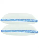 Sealy 100% Cotton Firm Support Standard/Queen Pillow 2 Pack