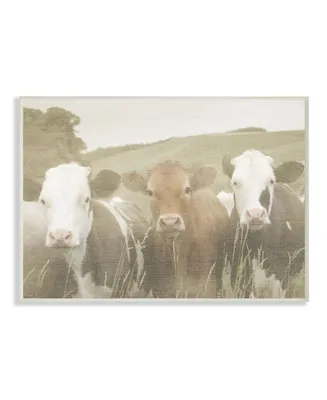 Stupell Industries Happy Neighbors Cows in the Field Wall Plaque Art, 10" x 15"