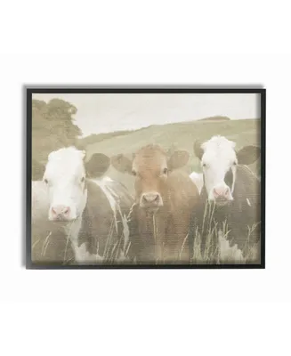 Stupell Industries Happy Neighbors Cows in the Field Framed Giclee Art, 16" x 20"