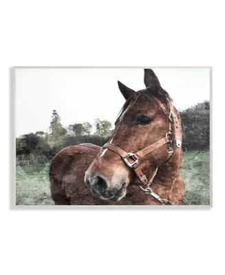 Stupell Industries Horse Posing in Field Wall Plaque Art, 12.5" x 18.5"