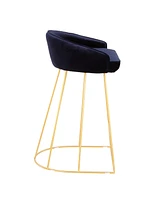 Canary Upholstered Counter Stool, Set of 2
