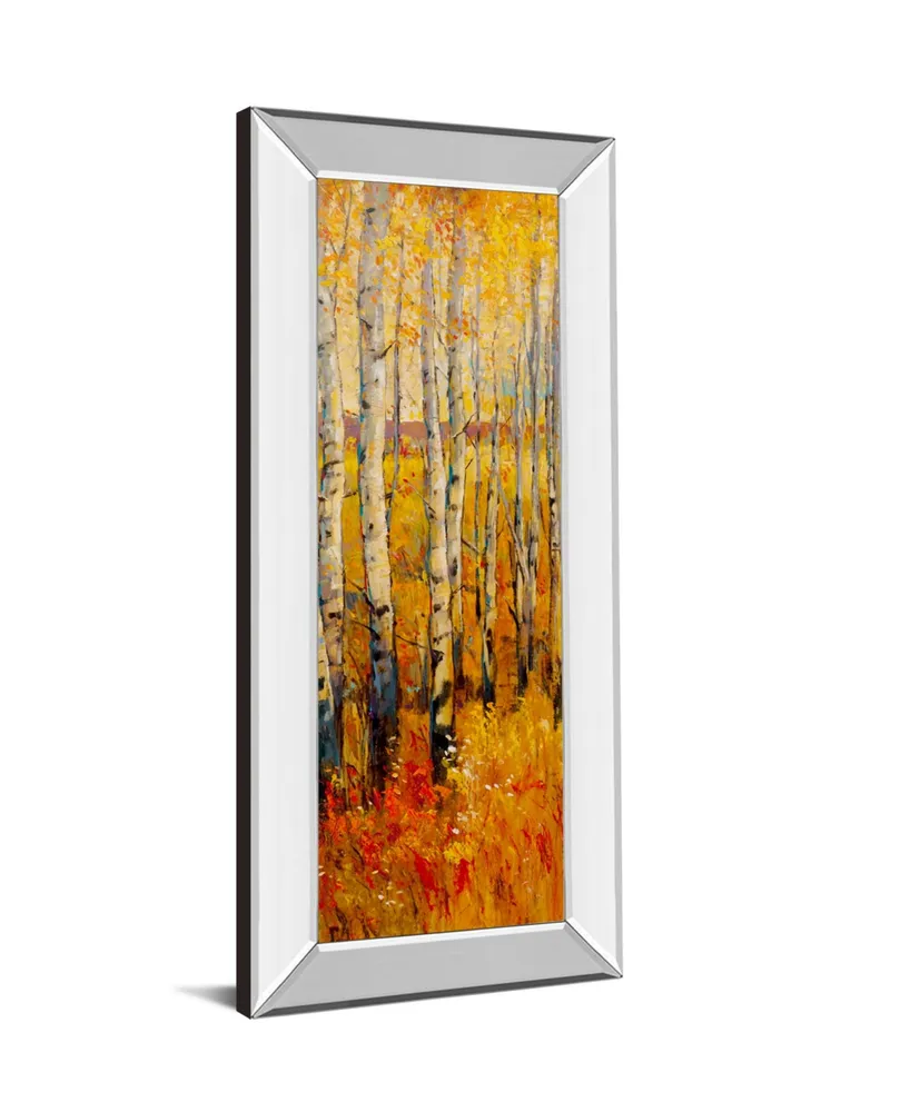 Classy Art Vivid Birch Forest Il by Tim Otoole Mirror Framed Print Wall Art - 18" x 42"