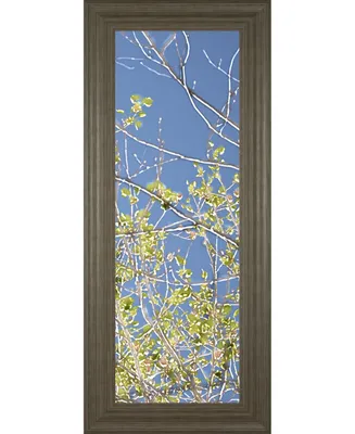 Classy Art Spring Poplars Iv by Sharon Chandler Framed Print Wall Art - 18" x 42"