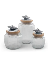 Arthur Court Canister Glass for Kitchen with Rubber Airtight Seal for Food Storage Shell Ocean Knob