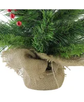 Northlight 24" Mixed Cashmere Berry Pine Artificial Christmas Tree - Unlit