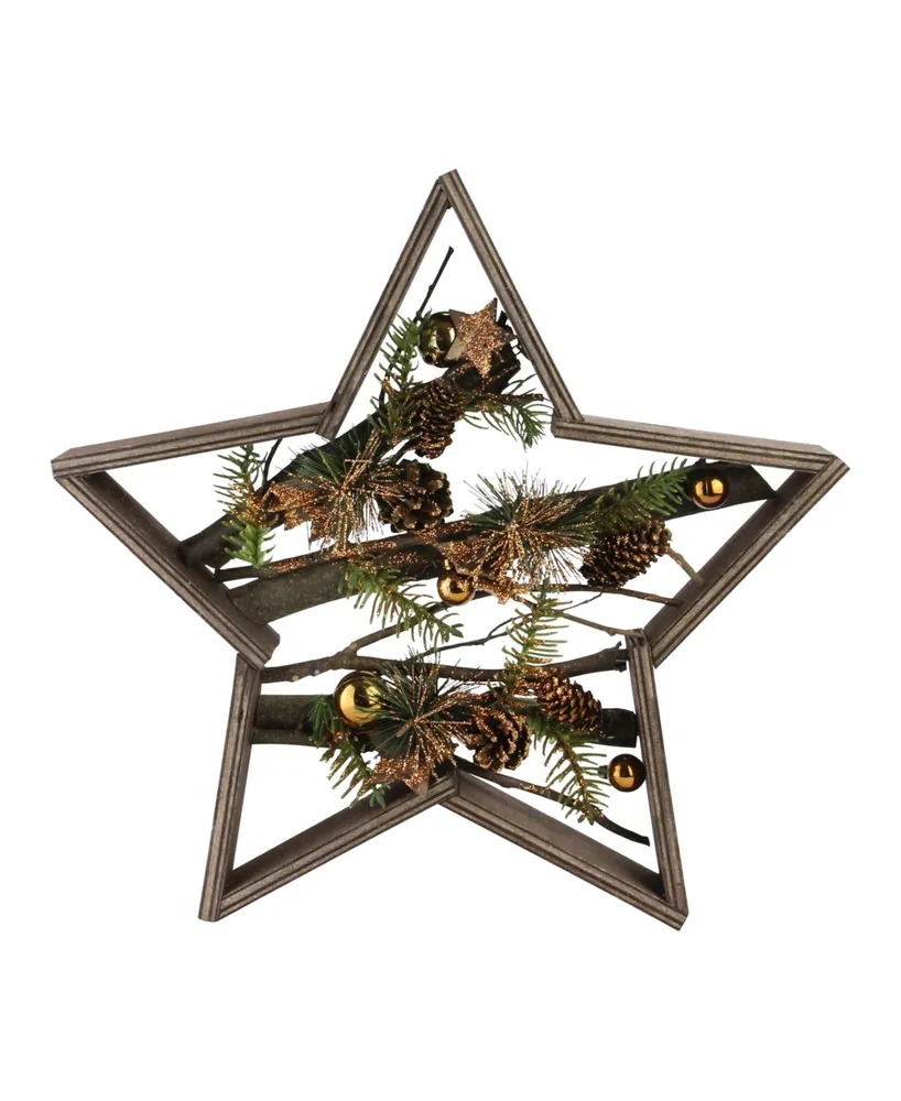 Northlight 15.25 Mixed Branches in Star Wood Frame Table or Wall Decoration