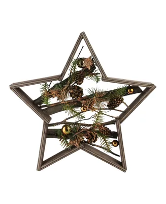 Northlight 15.25" Mixed Branches in Star Wood Frame Table or Wall Decoration