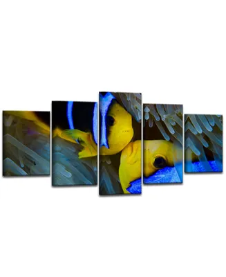 Ready2HangArt Underwater Rays Duo 5 Piece Wrapped Canvas Sea Life Wall Art Set, 30" x 60"