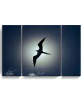 Ready2HangArt Frigatebird 3 Piece Wrapped Canvas Wildlife Wall Art Set, 32" x 48"