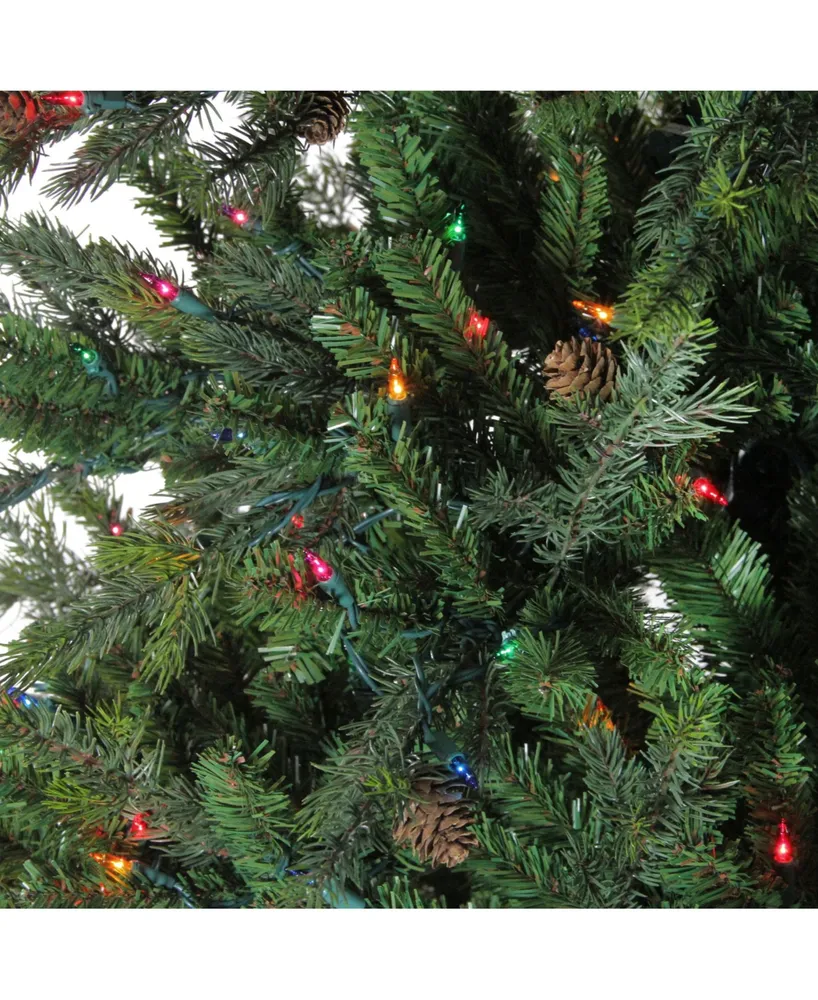 Northlight 7.5' Pre-Lit Hunter Fir Full Artificial Christmas Tree - Multi-Color Lights