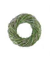 Northlight 14" Green and White Twig and Moss Artificial Spring Time Wreath