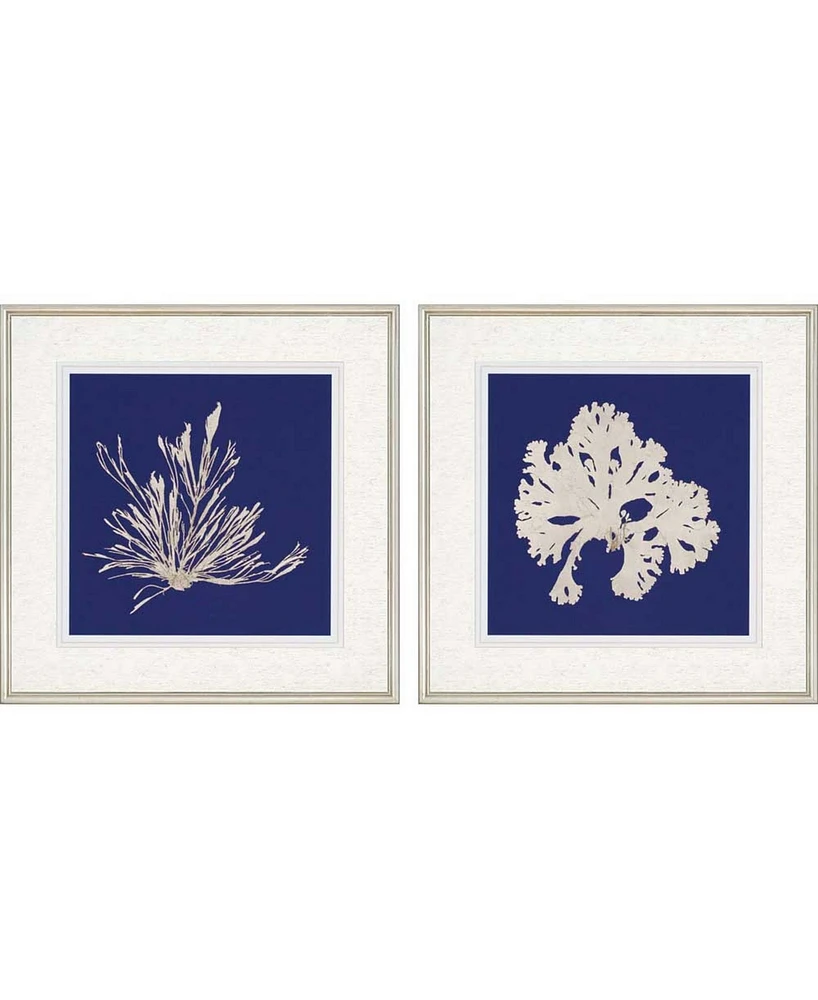 Paragon Seaweed on Navy Ii Framed Wall Art Set of 2, 27" x 27"