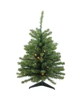 Northlight 3' Pre-Lit Led Canadian Pine Artificial Christmas Tree - Clear Lights