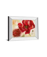 Classy Art Passion For Poppies Ii by Nan Mirror Framed Print Wall Art, 22" x 26"