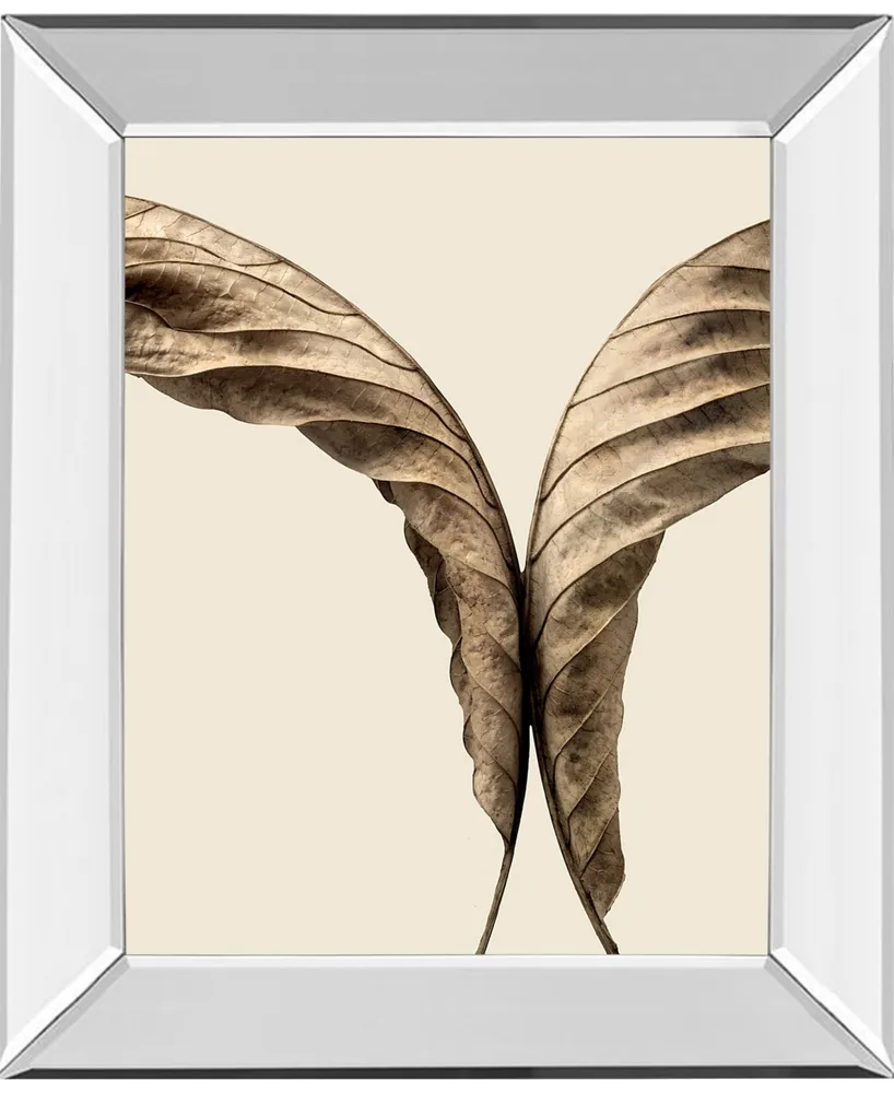 Classy Art Turning Leaves Ii by Jeff Friesen Mirror Framed Print Wall Art, 22" x 26"