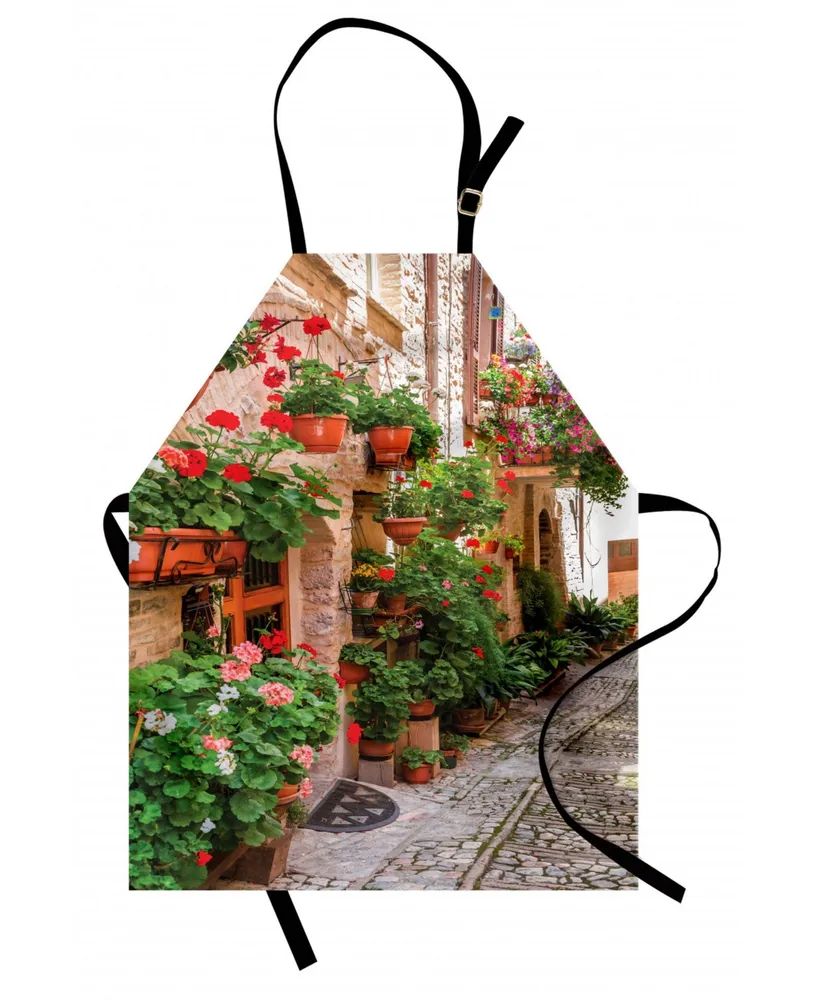 Ambesonne Italian Apron