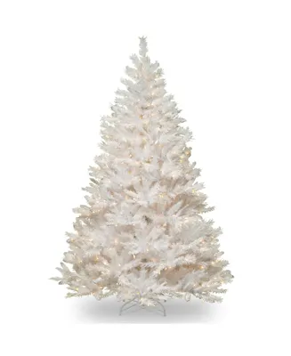 National Tree Company 6 ft. Winchester White Pine Tree with Clear Lights