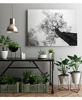 Giant Art 40" x 30" Robel - Between Heaven and Earth Museum Mounted Canvas Print
