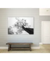 Giant Art 36" x 24" Robel - Between Heaven and Earth Museum Mounted Canvas Print