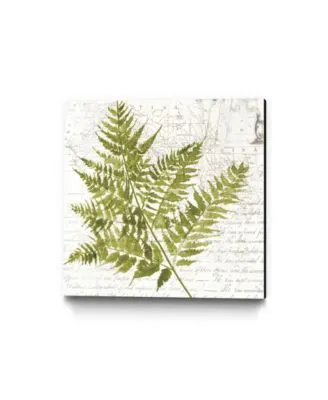 Giant Art Fern I Museum Mounted Canvas Print