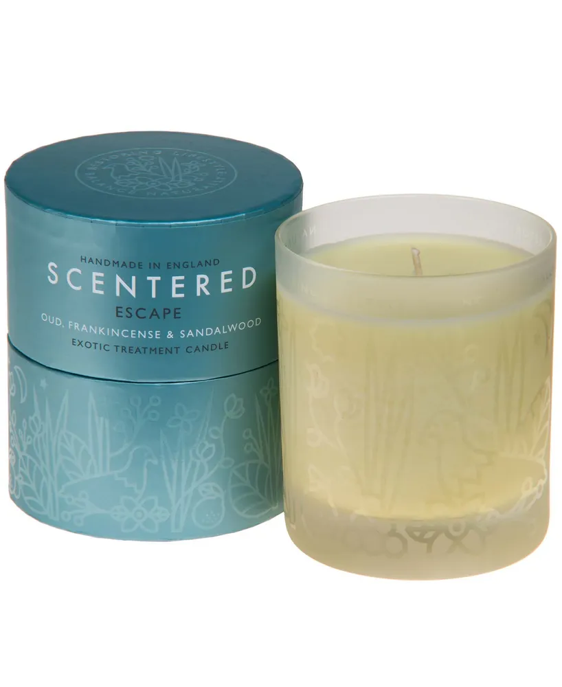 Scentered Escape Home Aromatherapy Candle, 7.8 oz.