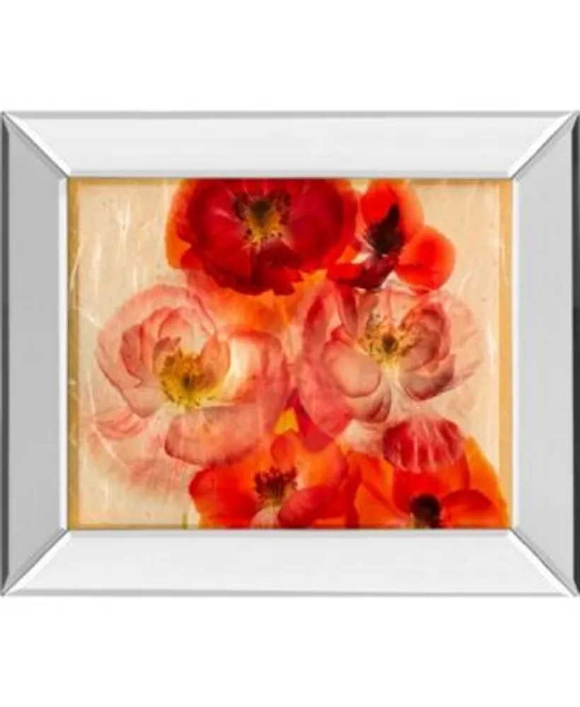 Classy Art Papaver Dreams By Harold Davis Mirror Framed Print Wall Art Collection