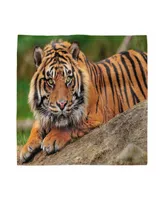 Ambesonne Tiger Set of 4 Napkins, 18" x 18"